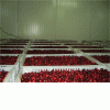 Buy cranberry  in bulk