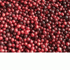 Buy seeds of large-fruited cranberry