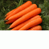 CARROTS WASHED