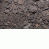 Peat fuel for the boiler