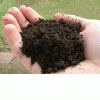 Peat for preparation of composts